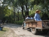 Best park in Shanghai