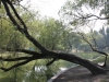 Best park in Shanghai