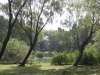 Best park in Shanghai