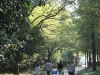 Best park in Shanghai